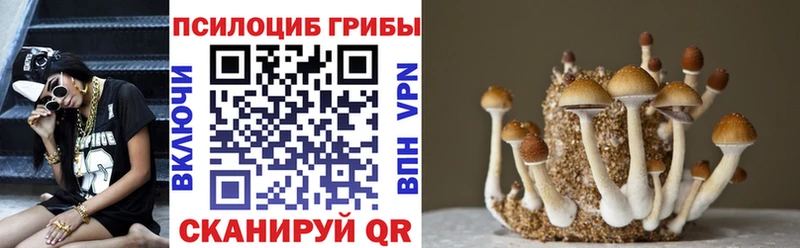 купить наркотик  Мураши  Галлюциногенные грибы Cubensis 